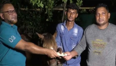 অন্ধ ঘোড়াকে আশ্রয় দেওয়া কলেজছাত্রের জন্য উপহার পাঠালেন প্রধানমন্ত্রী