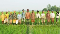 তাড়াশে মজুরি বৈষম্যের শিকার আদিবাসী কৃষি শ্রমিক