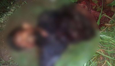 বদলগাছীর সড়কে লাশ, পাশে অক্ষত ভ্যান—খুন নাকি অন্য কিছু?