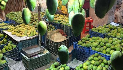 সপ্তাহের ব্যবধানে বেড়েছে ফজলি-বারিসহ সকল আমের দাম