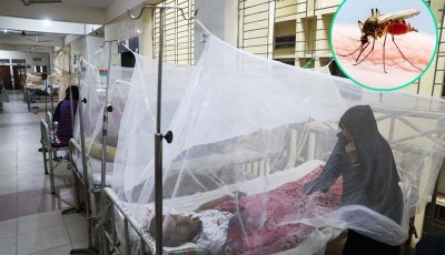 ডেঙ্গু আক্রান্ত হয়ে হাসপাতালে ভর্তি ১৯৫৪,মৃত্যু ৯