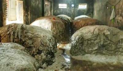 দুই হাজার টাকার চামড়া বিক্রি হচ্ছে ৫০০ টাকায়