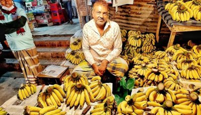 মৌলভীবাজারে কলার বাজারে দেখা দিয়েছে  ২০ টাকার কলা ৪০ টাকা