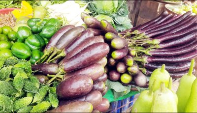 লেবু-শসার দাম কমেছে, চড়া বেগুনের দাম