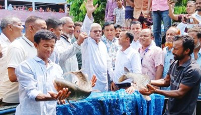 আর্জেন্টিনা ও ব্রাজিল লড়াই করে লাভ হবে না॥ পেটে ভাত পড়তে কাজ করতে হবে: মির্জা ফখরুল