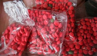 পবায় ১৫০ পিস ইয়াবাসহ দম্পতি আটক