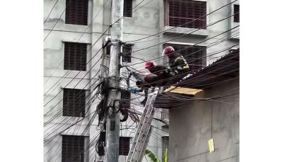 বৈদ্যুতিক পোল থেকে  ঘুঘুর  বাচ্চা পাড়তে গিয়ে বিদ্যুৎস্পৃস্ট হয়ে কিশোরের মৃত্যু