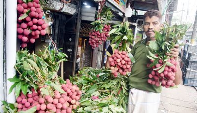 সরবরাহ স্বাভাবিক রয়েছে, তবু কমছে না লিচুর দাম