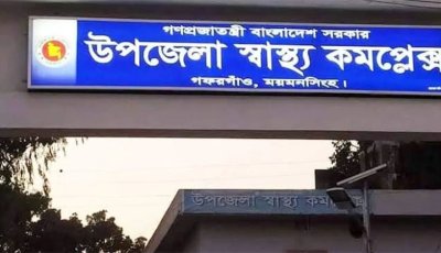 গাছ কাটতে গিয়ে বিদ্যুৎস্পৃষ্টে প্রাণ গেল কাঠুরিয়ার