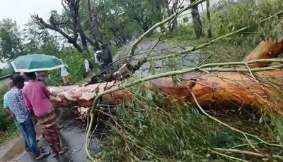 কালবৈশাখিতে লণ্ডভণ্ড জয়পুরহাট
