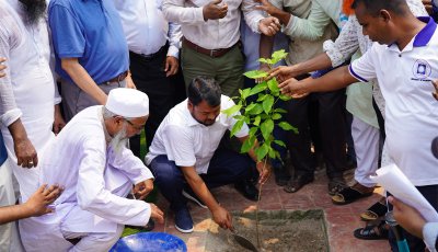 রাজশাহীতে ২ লাখ ৫০ হাজার গাছ লাগানোর লক্ষ্যমাত্রা নিয়ে বৃক্ষরোপণ কর্মসূচির উদ্বোধন করলেন রাসিক প্রশাসক