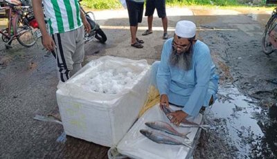 ভারতীয় ইলিশ আমদানি বন্ধ, বাতিল ১০৩ এনওসি