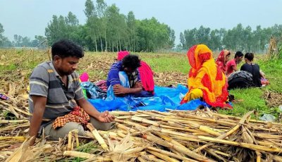 অন্তঃসত্ত্বা নারীসহ ৩৬ ঘণ্টা মানবেতর জীবন, পতাকা বৈঠকেও মেলেনি সমাধান