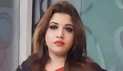 পুশইন ঠেকাতে ভারতকে ১২-১৩টি চিঠি দিয়েছে সরকার
