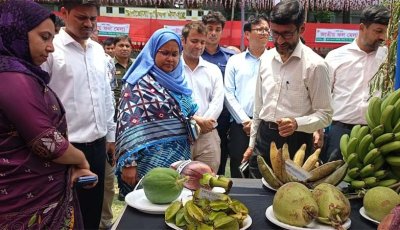 পঞ্চগড়ে  ৩ দিনব্যাপী জাতীয় ফল মেলার উদ্বোধন