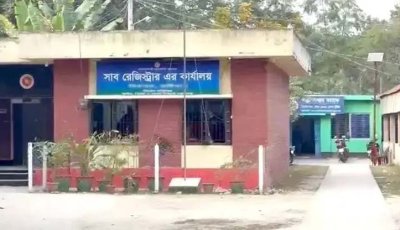 ৮৫ সাব-রেজিস্ট্রারকে বদলি