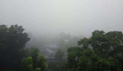 নীলফামারীতে হঠাৎ  ঘন  কুয়াশায় ঢাকা পড়েছে