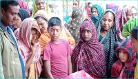 মেহেরপুরে গাংনীতে বিদ্যুৎস্পৃষ্টে কৃষকের মৃত্যু