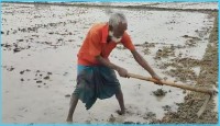 মাঘের শীতে গুঁড়ি গুঁড়ি বৃষ্টি, বিপর্যস্ত চুয়াডাঙ্গার জনজীবন