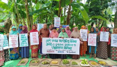 কৃষক নেতৃত্বে দেশি কলার জাতবৈচিত্র্য বিনিময়ে সমৃদ্ধ হচ্ছে বরেন্দ্র অঞ্চলে কৃষিপ্রাণবৈচিত্র্য