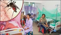 মার্চ মাসের তুলনায় এপ্রিলে  ডেঙ্গুতে আক্রান্ত ও মৃত্যু  দ্বিগুণ
