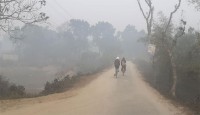 পঞ্চগড়ে তাপমাত্রা বেড়েছে