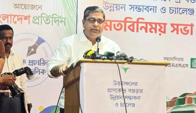 দেশের ইতিহাসে এই প্রথম কোনো ঘটনা ছাড়াই দুর্গোৎসব হলো
