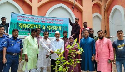 নিয়ামতপুরে ধর্মীয় প্রতিষ্ঠানে বৃক্ষরোপণ কর্মসূচি উদ্বোধন