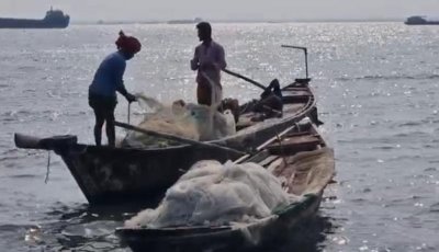 ইলিশের দেখা নেই , চাঁদপুরের জেলেরা হতাশ