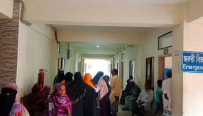বিদ্যুতের তারের পাতা ফাঁদে প্রাণ গেল গৃহবধূর