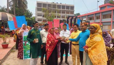 পবায় বিশ্ব পরিবেশ দিবস উপলক্ষে র‌্যালি ও আলোচনা সভা অনুষ্ঠিত