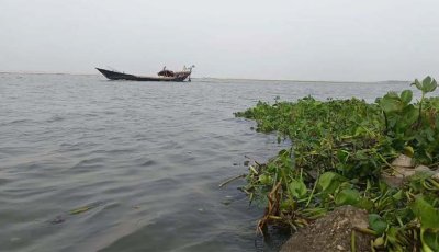 গঙ্গা-গড়াই নদীর পানি সতর্কসীমায়, নিম্নাঞ্চলে প্লাবনের শঙ্কা