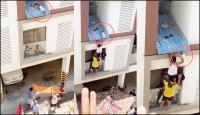 মায়ের কোল ফসকে দোতলার কার্নিশে ৮ মাসের শিশু!  অতপর.....
