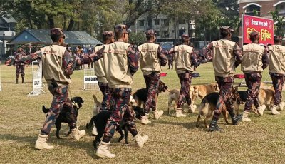 ঢাকাসহ তিন জেলায় নামছে ৩৮ প্লাটুন বিজিবি