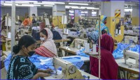 ২০২৩ সালে দেশে ২৬৪টি নতুন পোশাক কারখানা নির্মাণ হয়েছে।