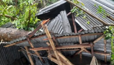 কালবৈশাখী ঝড়ের সময় আম কুড়াতে গিয়ে প্রাণ গেল নারীর
