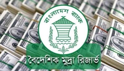 প্রবাসী আয়ে ফের রিজার্ভ ছাড়াল ৩৫ বিলিয়ন ডলার