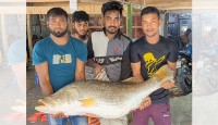 এক কোরাল ৩২ হাজারে বিক্রি