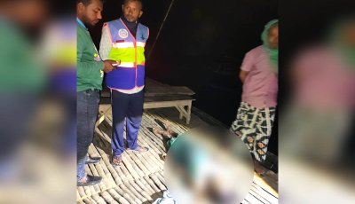 পদ্মা নদীতে মাছ ধরতে গিয়ে ট্রলারের ধাক্কায় পানিতে পরে জেলের মৃত্যু