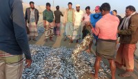 টেকনাফে জেলের জালে ৮ লাখ টাকার মাছ