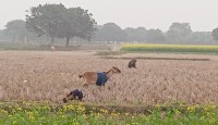 লেপের নিচে  হাত-পা  ঠিকমতো হয় না গরম